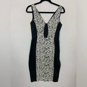 FRENCH CONNECTION  SAHARA WAVE ZEBRA DRESS SZ 6